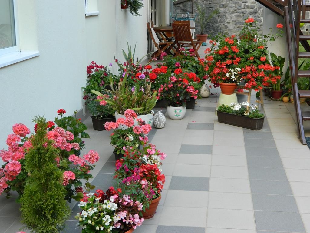 Appartamento Casa Anette Sovata Esterno foto