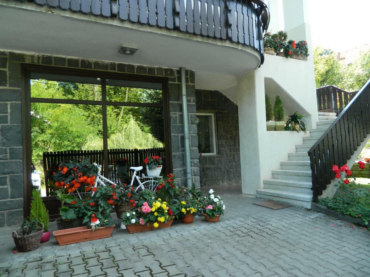 Appartamento Casa Anette Sovata Esterno foto