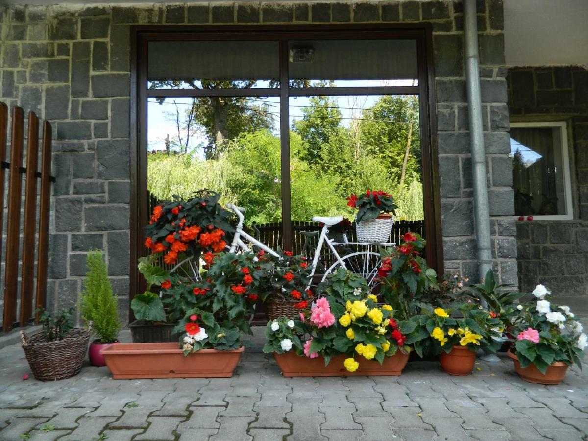 Appartamento Casa Anette Sovata Esterno foto